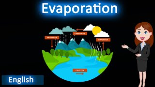 Evaporation  3D animated explanation  class 9th  Matter in our surrounding [upl. by Steck]