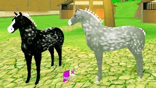 Broken Leg Horse World New Percheron Horses  Lets Play Roblox [upl. by Noyr838]