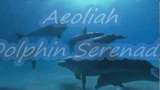 Dolphin Serenade Aeoliah [upl. by Pammy]