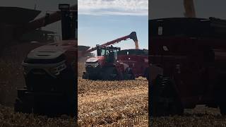 645 CASE IH QUADTRAC AND AF10 AT FARM PROGRESS SHOW shorts fps24 harvest24 caseih farmshow [upl. by Paris]