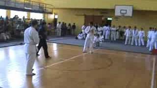 Kyokushin vs Shidokan [upl. by Assenay658]