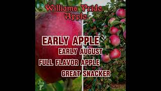 Williams Pride Apple [upl. by Ardnaet]