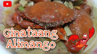 HOW TO MAKE GINATAANG ALIMANGO  FILIPINO RECIPE [upl. by Chrysa]