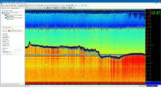 Online Singlebeam Echogram view [upl. by Enra205]