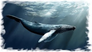 Jean Michel Jarre  Ethnicolor песня китов whale song [upl. by Icnarf]