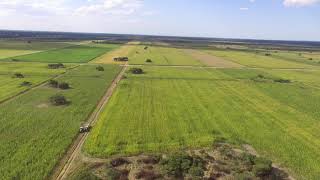 Cortando Silo en la colonia [upl. by Nytnerb]