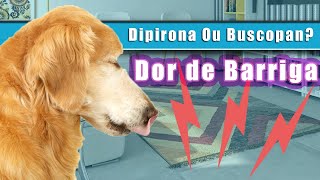 Cachorro com DOR DE BARRIGA DIPIRONA ou BUSCOPAN [upl. by Hansel]