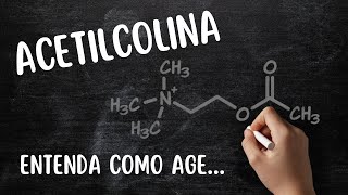 ACETILCOLINA [upl. by Efi]