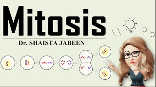 Mitosis I Cell Division I Complete Process of Mitosis I Learn How Your Cells Divide and Grow [upl. by Gonroff]