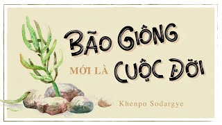 Sách nói Bão Giông Mới Là Cuộc Đời  Chương 1  Khenpo Sodargye [upl. by Marlette990]