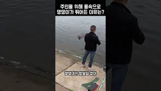 낚시 도중 떠내려간 낚싯대 댕댕이의 행동에 감동한 이유는 [upl. by Neitsirk451]