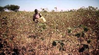 The Inclusive Business Models approach  The case of Cotton in Kenya [upl. by Balliol]