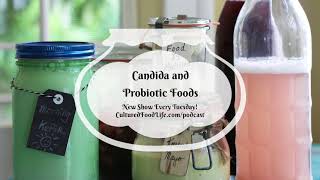 Podcast Episode 48 Candida and Probiotic Foods [upl. by Asselim]