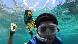 Caribbean Snorkel SeriesCuba UHD [upl. by Longo]