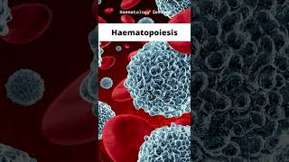 Haematopoiesis [upl. by Adev]