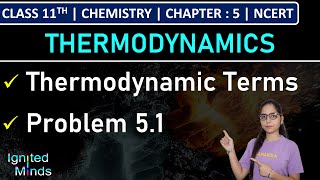 Class 11th Chemistry  Thermodynamic Terms  Problem 51  Chapter 5  NCERT [upl. by Herrod938]