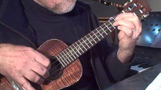 The Radetzky March  Solo Ukulele  Colin Tribe on LEHO [upl. by Niwrek]