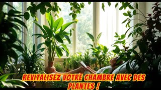 🌿 Les Meilleures Plantes pour Décorer Votre Chambre  Design et Relaxation 🌿 [upl. by Reuven763]