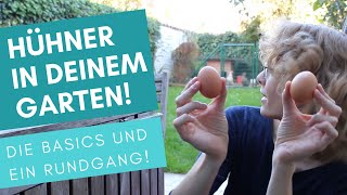 Hühner im Garten halten Rundgang für Anfänger [upl. by Michel]