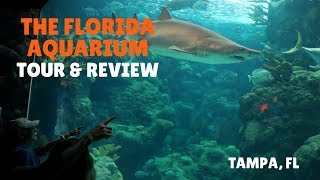 The Florida Aquarium  tour amp review [upl. by Jethro]