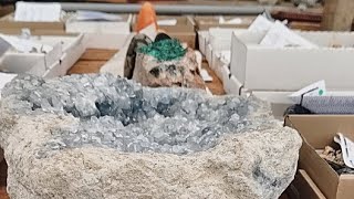 Live Mineral Specimen and Fossil wholesale [upl. by Bywoods]