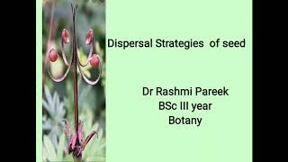 Dispersal strategies of seed BSc III year [upl. by Notgnirrab664]