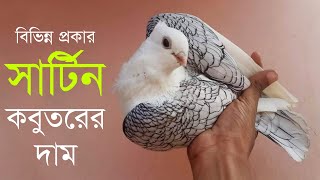 সাটিন কবুতরের দাম  Satin pigeon price in bd  Satinette pigeon price  Oriental frill pigeon [upl. by Emerson]