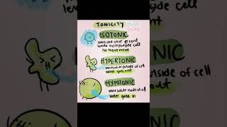 Hypertonic Hypotonic Isotonic Solution  tonicity  scienceshorts  shorts [upl. by Ardnohsed843]