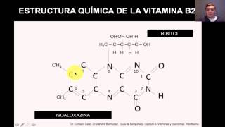 Vitaminas y Coenzimas La Riboflavina [upl. by Anyrb]