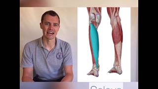 Calf Pain and Cramping when Cycling [upl. by Enaud]