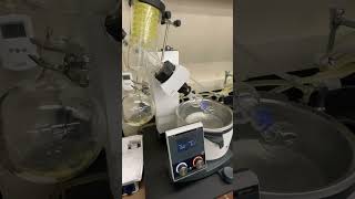 Rotary Evaporation of Phenacetin from Acetaminophen Synthesized by the Williamson Ether Synthesis [upl. by Riggins]