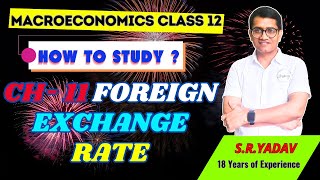 ch 11 foreign exchange rate  class 12  Macroeconomics [upl. by Corette]