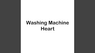 Washing Machine Heart Sped Up [upl. by Lynus]