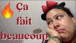 Du feu Des rongeurs du shopping de Noel  vlog Studio vlog [upl. by Attela]