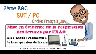 TP Mise en évidence de la respiration des levures par EXAO  Etape 1 [upl. by Aizan]