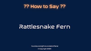 How to Pronounce Rattlesnake Fern CORRECTLY  Pronunciation Planet [upl. by Krystalle]