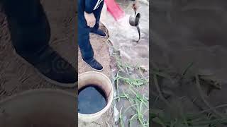 The process of adding water and fertilizer during irrigation [upl. by Bell173]