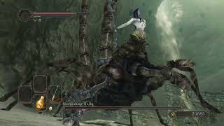 Dark Souls 2 Scorpioness Najka WIN [upl. by Stoneman]