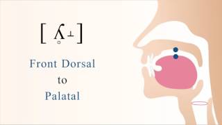 ʎ̥˔  unvoiced dorsal palatal lateral fricative [upl. by Arded]