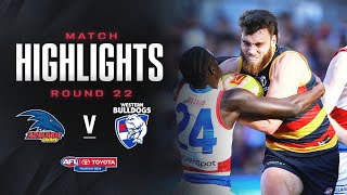 Adelaide v Western Bulldogs Highlights  Round 22 2024  AFL [upl. by Garda614]