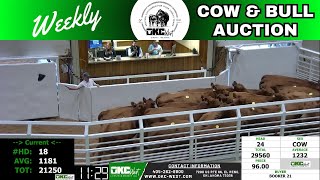 11132023  OKC West Weekly Cow amp Bull Auction [upl. by Surat]