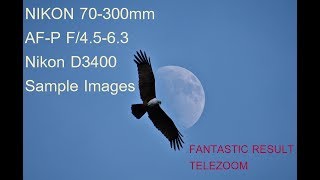 NIKON 70300mm with Nikon D3400 AFP f4563 VR DX Sample Images [upl. by Husch]