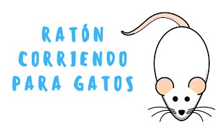 Video para Gatos de Ratones para Jugar  Ratón Blanco  Diversión para Gatitos en Pantalla [upl. by Gebelein]