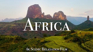 Africa 4K  Scenic Relaxation Film With Calming Music [upl. by Anahsit]