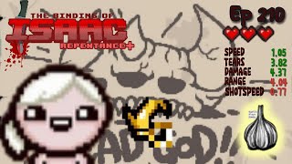 REPENTANCE PLUS Its HERE amp Its Huge  EDEN STREAK  The Binding of Isaac Repentance  Ep 210 [upl. by Boorman]