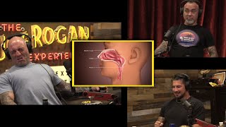 Joe Rogan  Joe and Brendan Schaub Sniff Smelling Salts [upl. by Barrada]