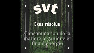 SVT Consommation de la matière organique et flux d’énergie [upl. by Twyla]