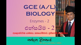 Enzymes 2  එන්සයිම  2 [upl. by Perusse]