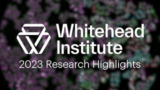 FallWinter 2023  Whitehead Institute Research Highlights [upl. by Eittol823]