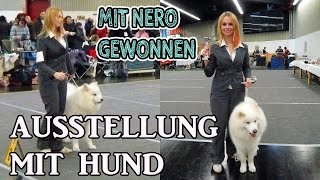 HUNDEAUSSTELLUNG  Hund richtig ausstellen  Vorbereitung auf Aufstellung  Tipps [upl. by Yasu886]